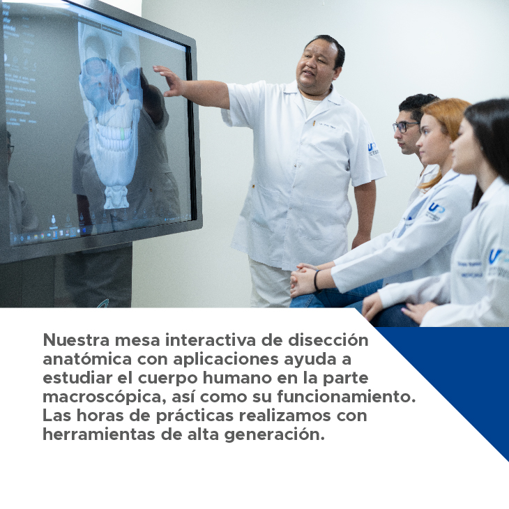 carousel medicina 5