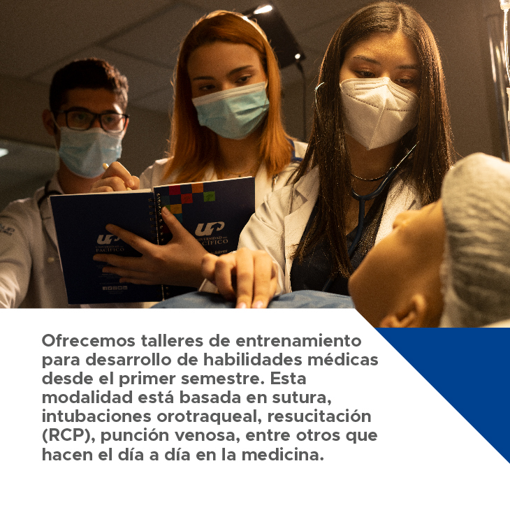 carousel medicina 6