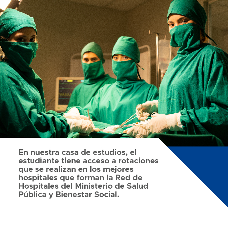 carousel medicina 7