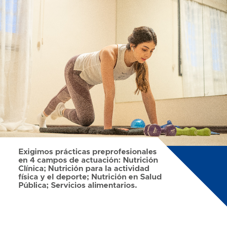 carousel nutricion 8